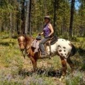 Meet your Posher, Jean